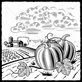 Landscape with pumpkins black and white