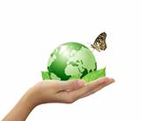 World and leaf have butterfly in hand