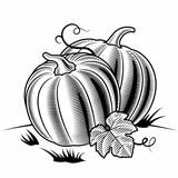 Retro pumpkins black and white