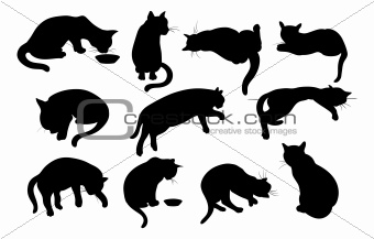 Cats Silhouette set