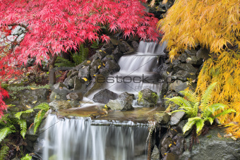 Backyard Waterfall with Japanese Maple Trees
