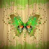 Butterfly over Wood
