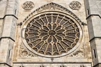 Leon Cathedral Rosette