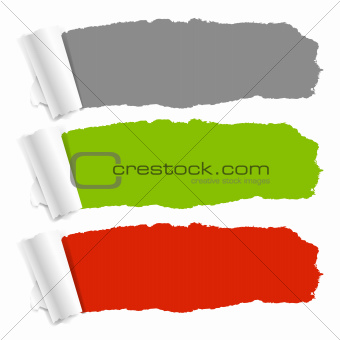 Color Torn Paper Set