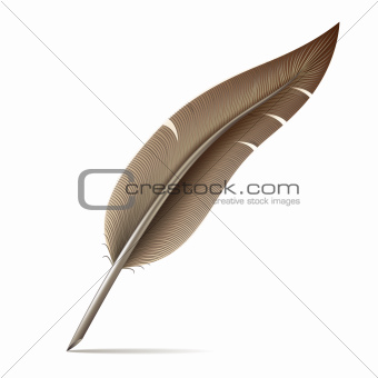Image of feather pen on white background.