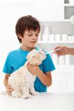 Boy at the veterinary doctor with his little doggy