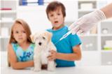 Kids at the veterinary doctor with their pet