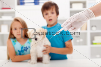 Kids at the veterinary doctor with their pet