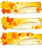 Three autumn banners with colorful leaves in golden frames.  leaves