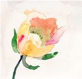 Watercolor illustration with beautiful flower 