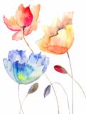 Beautiful summer flowers, watercolor illustration
