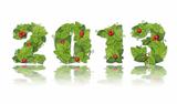New year 2013. Date lined green leaves with red berry. 