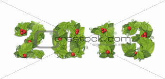 New year 2013. Date lined green leaves with red berry. Isolated