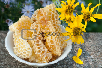 Natural honey in the comb