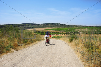 Mountain bike trip through fields and vineyards