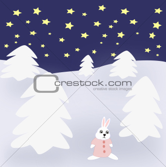 Rabbit in Winter Landscape