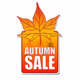autumn sale label with leaf
