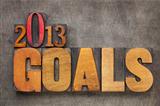 2013 goals