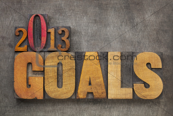2013 goals