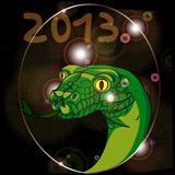 year of the snake 2013
