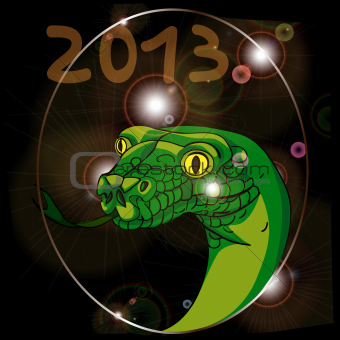 year of the snake 2013