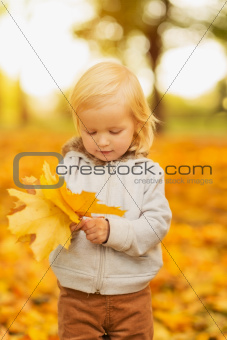 Baby holding fallen leaves