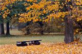 bench in the autumn landscape