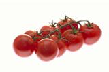 a branch of tomatoes on white background