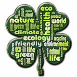 Cloud of words that describe aspects of ecology