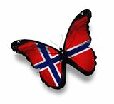 Norwegian flag butterfly, isolated on white