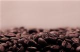 Coffee beans sepia