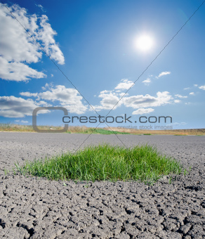 sun over drought land