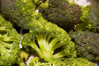 green fresh broccoli