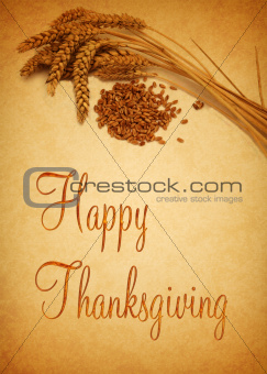 Happy Thanksgiving Wheat