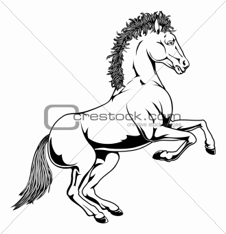 Black and white horse illustration