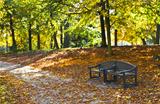 Bench in park in autumn