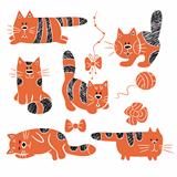 Striped cats