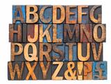 alphabet in antique wood type