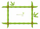 Background with green bamboo frame