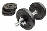 dumbbell and plates