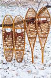 Bear Paw and Huron snowshoes