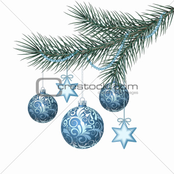 Blue christmas balls on green spruce branch.