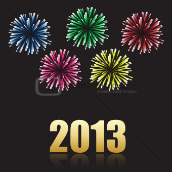 2013 new year celebration