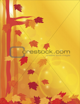 Falling Maple Leaves in Forest Illustration