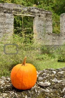 Fall pumpkin at the ruins