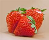 Fresh strawberry l