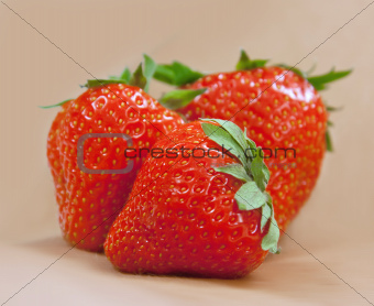 Fresh strawberry l