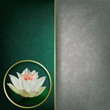 abstract grunge background with lotus