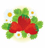 Strawberries and daisy flowers