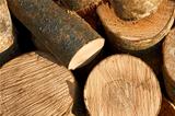 Bunch of cut firewood logs
